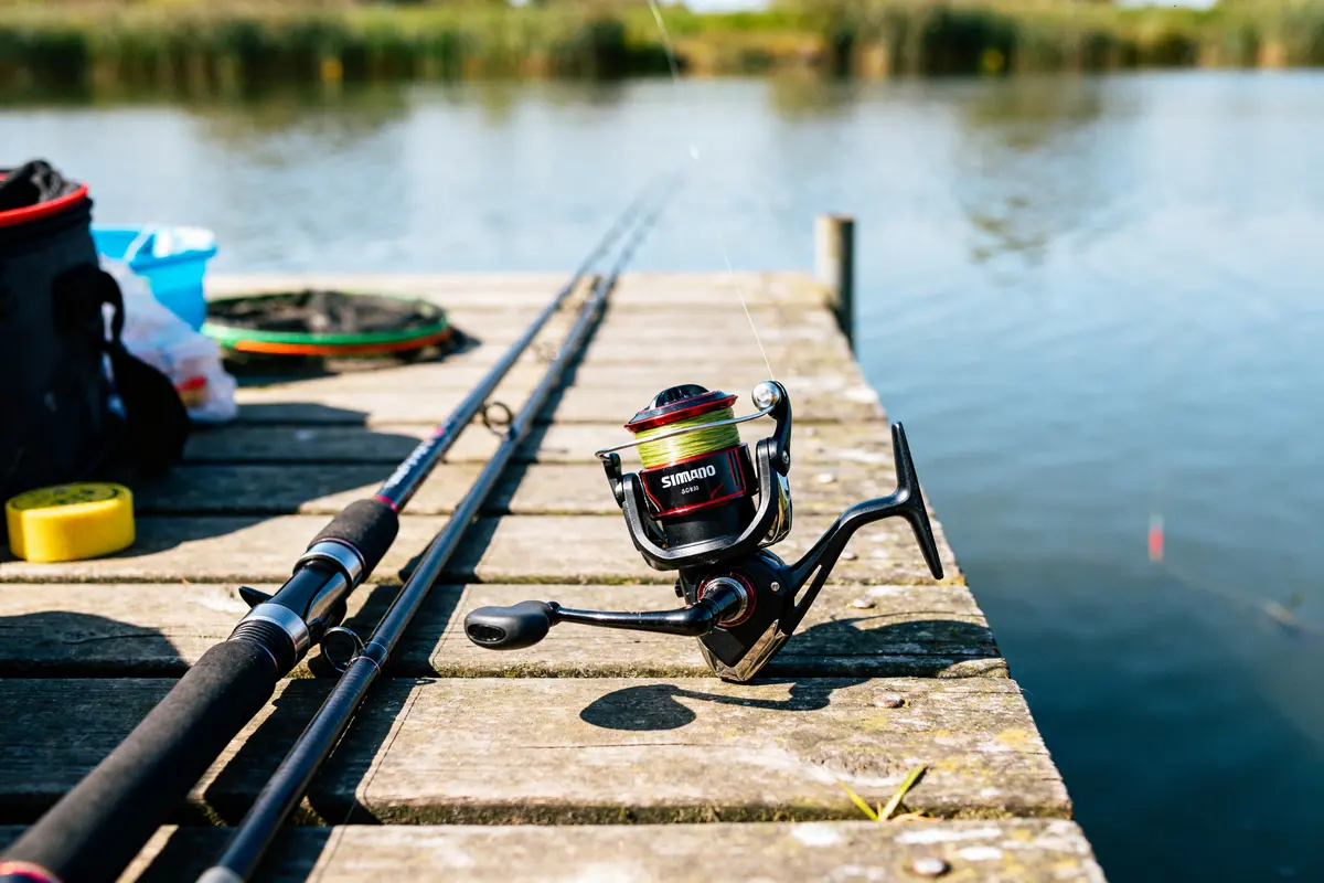 Shimano moulinet : Quel modèle choisir pour votre pêche ?